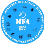 WhatsApp_Image_2025-07-27_at_8.26.31_PM-removebg-preview